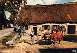 Delcampe - 19 Le Limousin La Ferme Au Toit De Chaume Postée à NEUVIC PLAGE 5 / KEVREN0021 - Ussel