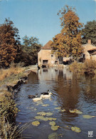 Delcampe - 87 HAUTE-VIENNE Limousin Pays D'eau Et De Verdure Le Vieux MOULIN 52/ KEVREN0008Vic - Bellac