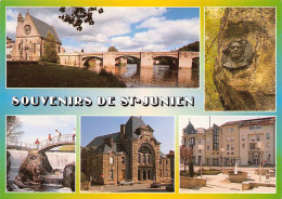 Delcampe - 87 Saint-Junien Souvenir De La Ville 34/ KEVREN0008Vic - Saint Junien