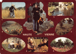 Delcampe - 87 HAUTE-VIENNE Limousin Pays D'eau Et De Verdure 49/ KEVREN0008Vic - Bellac