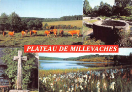 Delcampe - 19 Plateau De Millevaches TARNAC 13 / KEVREN0008Vic - Uzerche