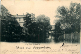 Delcampe - Gruss Aus Pappenheim - An Der Altmühl - Pappenheim