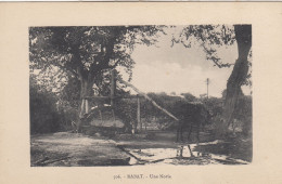 Delcampe - CPA MAROC – RABAT – 506 Une Noria – Agriculture Hydraulique Traditionnelle Puits Ane Traction - Rabat