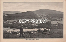 Delcampe - Falkenstein I. Taunus - Taunus