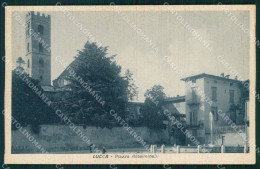 Delcampe - Lucca Città Piazza Antelminelli Cartolina WX1093 - Lucca