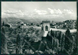 Delcampe - Perugia Città Porta Sant'Angelo FG Foto Cartolina KB4731 - Perugia