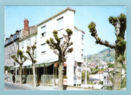 Delcampe - CP 63 - Royat - Villa Du Coteau - Royat