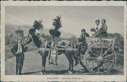 Delcampe - Ct426 Cartolina Palermo Citta' Carretto Siciliano - Palermo