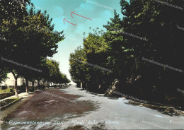 Delcampe - De65 Cartolina Cupramontana Viale Della Vittoria Provincia Di Ancona - Ancona