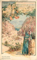 Delcampe - Carte Publicitaire Chocolat LOMBART , Les Merveilles De La Nature , Algérie & Tunisie , * MS 540 67 - Werbepostkarten