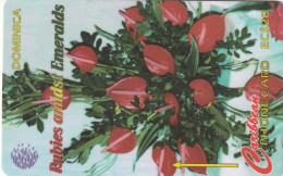 Delcampe - PHONE CARD DOMINICA  (SCM420 - Dominica