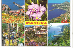 Delcampe - Espagne > MADEIRA - Cartes Multivues - CPM - Palma De Mallorca