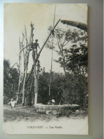 Delcampe - INDE                         PONDICHERY                    UNE PICOTTE - Indien