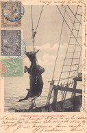 Delcampe - MADAGASCAR  -  DIEGO SUAREZ  - Embarquement De Boeufs    ( Obliteration  Et Cachets ) - Madagaskar