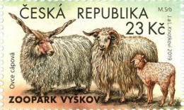 Delcampe - ** 1039 Czech Republic Nature Protection: Zoological Gardens IV 2019 Sheep - Autres & Non Classés