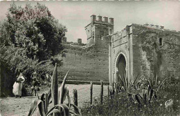 Delcampe - Carte Postale - Maroc - Rabat - La Porte Intérieure Du Chellah - Animée - Mention Photographie Véritable - Carte Dentelé - Rabat