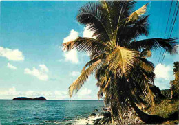 Delcampe - Carte Postale - Antilles - Rivage Caraibe - CPM - Voir Scans Recto-Verso - Poscard - Carta Postal -  Postkarte - Sonstige & Ohne Zuordnung