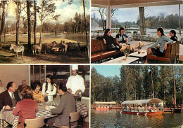 Delcampe - Carte Postale - 91 - Saint Vrain - Le Parc De Saint Vrain - Multivues - CPM - Voir Scans Recto-Verso - Poscard - Carta P - Saint Vrain