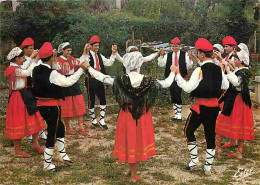Delcampe - Carte Postale - Folklore - Danses - Pays Catalan - La Sardane - Voir Scans Recto Verso - Dances