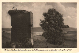 Delcampe - WĘGORZEWO, EAST PRUSSIA, RUINED BRICK FACTORY, WORLD WAR I DAMAGE, STORKS, NEST, B/W, POSTCARD, POLAND - Polen