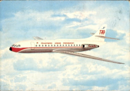 Delcampe - CPA Portugiesisches Passagierflugzeug TAP - Sonstige & Ohne Zuordnung