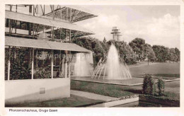 Delcampe - EssEN  Ruhr Pflanzenschauhaus Gruga Park - Essen
