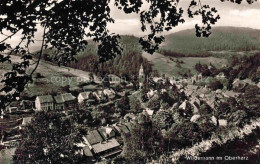 Delcampe - Wildemann Harz Goslar Niedersachsen Panorama Ansicht Vom Waldrand Aus - Wildemann