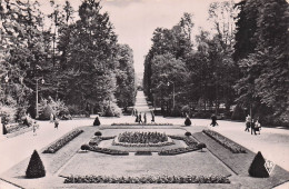 Delcampe - 88 VITTEL LE PARC - Vittel
