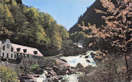 Delcampe - 65 CAUTERETS LES GRIFFONS PETIT ST SAUVEUR ET LE GAVE DE JERET - Cauterets