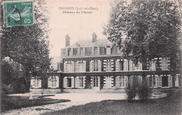 Delcampe - 41 SALBRIS CHATEAU DU CHESNE - Salbris
