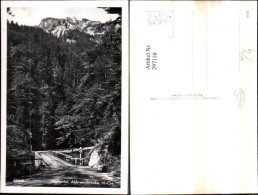 Delcampe - 297110,Höllental Abbrennbrücke Brücke B. Naßwald Schwarzau - Neunkirchen