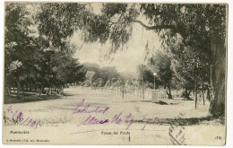 Delcampe - Montevideo - Paseo Del Prado - Circ 1905, Timbres Décollés, Précurseur - Uruguay