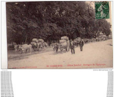 Delcampe - 09dab  33 LIBOURNE ALLEES SONCHET ATTELAGES DE VIGNERONS - Libourne