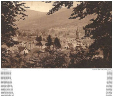 Delcampe - 10 Pet  88 CORNIMONT DANS SON NID DE VERDURE - Cornimont