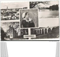 Delcampe - 85 CHANTONNAY MULTIVUES - Chantonnay