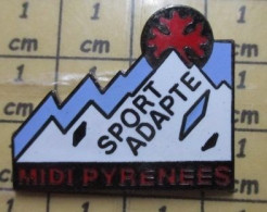 Delcampe - Pin713e      SPORT  FFSA SPORT ADAPTE  MONTAGNE NEIGE - Altri & Non Classificati