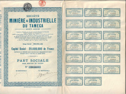 Delcampe - Action Société Minière Du Tamega - Mijnen