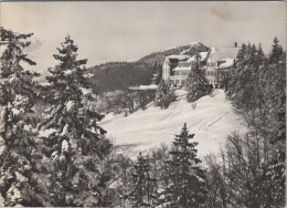 Delcampe - Kurhaus-Weissenstein Im Winter Real Photo *YCA072 - Sonstige & Ohne Zuordnung