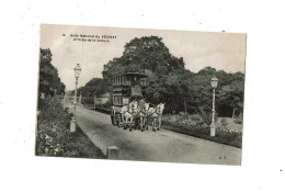 Delcampe - ASILE NATIONAL DU VESINET ARRIVEE DE LA VOITURE - Le Vésinet