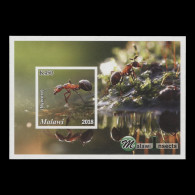 Delcampe - Malawi 2018 (Variety) K450 Nyerere Imperf Miniature Sheet - Malawi (1964-...)