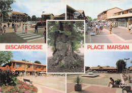 Delcampe - 40 BISCARROSSE LES LACS LA FORET - Biscarrosse