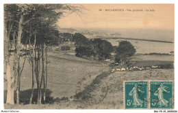 Delcampe - BDUP5-0369-29 - DOUARNENEZ - Vue Generale - La Bale - Douarnenez