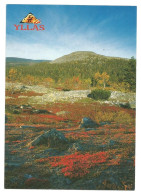 Delcampe - YLLÄS FELL In LAPLAND - FINLAND - - Finnland