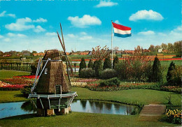 Delcampe - Carte Postale - Moulin à Vent - CPM - Voir Scans Recto-Verso - Poscard - Carta Postal -  Postkarte - Mulini A Vento