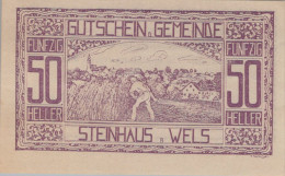 Delcampe - 50 HELLER 1920 Stadt STEINHAUS BEI WELS Oberösterreich Österreich Notgeld #PE878 - Emissions Locales