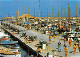 Delcampe - 83-PORQUEROLLES-N°3410-A/0021 - Porquerolles