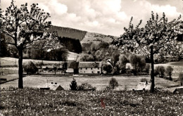 Delcampe - CPA Merkenfritz Hirzenhain In Hessen, Haus Henkel, Vogelsberg, Oberhessen - Sonstige & Ohne Zuordnung
