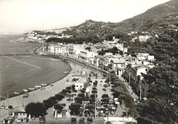 Delcampe - Do84 Cartolina Saluti Da Casamicciola, Isola D'ischia, Napoli - Napoli (Neapel)