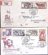 Delcampe - 1959-CECOSLOVACCHIA CECOSLOVACCHIA Parco Naz. Tatra (1037/1) Su Due Fdc Racc.. S - FDC