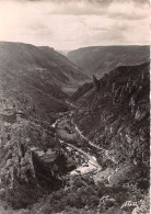 Delcampe - LES GORGES DU TARN Point Sublime 1(scan Recto-verso) MA638 - Gorges Du Tarn